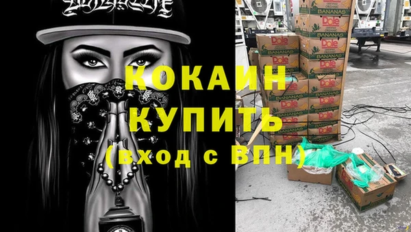 индика Алзамай