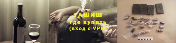 индика Алзамай