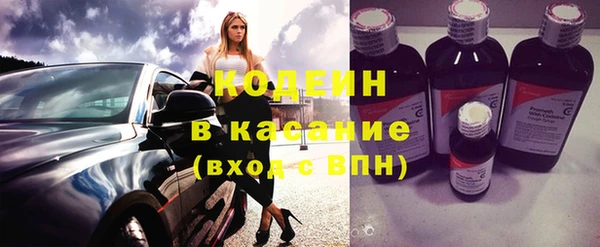 индика Алзамай